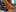 pesoksheben76.ru favicon