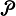 petersburg-bridges.ru favicon