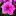 petunii.ru favicon