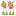 photo-abrikos.ru favicon