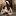 photo-diana-rusanova.ru favicon