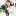 photoarefeva.ru favicon
