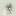 photoleika.ru favicon