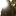 photostacia.ru favicon