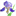 piacheva.ru favicon