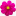 piltsaflowers.ru favicon