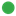pinely.com favicon
