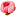 pion777.ru favicon