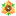 pitomnik-orexov.ru favicon
