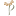 planeta-shoria.ru favicon
