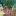 planeta21vek.ru favicon
