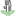 planty-shu.ru favicon