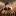 pleasurebooks.ru favicon