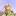 postcardbear.ru favicon