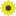 poteshkatoy.ru favicon