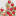 pozdravlaka.ru favicon