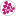 premilo.ru favicon
