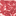 primerib.ru favicon