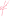 pronogotok.ru favicon