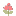 prostotakflowers.ru favicon