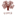 qoper.ru favicon