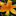 radovatsyajizni.ru favicon