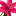 raikovstudio.ru favicon