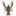 rakirostov.ru favicon