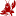 rakisochi.ru favicon