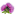 rastoropshavip.ru favicon