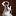 razinapro.ru favicon