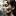 razvitie-av.ru favicon