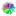 realnay-zhizn.ru favicon