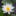 reka36doma.ru favicon