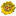 repetitorbio.ru favicon