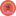repetitorlogoped.ru favicon