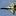 ripresa.ru favicon