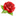 rosalyub.ru favicon