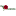 rose-angela.ru favicon