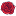 rosemanoranapa.ru favicon
