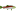 rostovforel.ru favicon