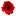 rozy-ot-tatyany.ru favicon