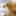 rozysk.org favicon