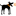 ruckus-store.ru favicon
