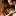 rudikatphoto.ru favicon