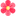 rynokcvetov.ru favicon