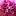 sadbknleta.ru favicon