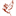 sadkotravel.ru favicon