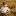 saga-photo.ru favicon