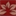 salon-premera.ru favicon